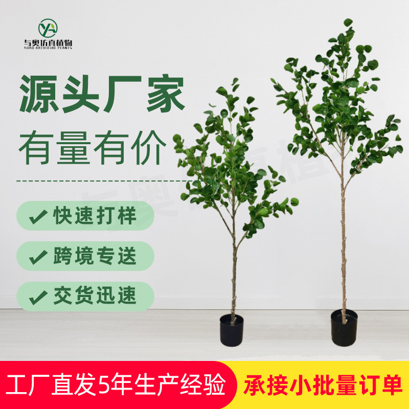 Nordic eucalyptus leaf money leaf tree bonsai simulation plant detachable floor green plant decoration living room decoration Nordic eucalyptus leaf money leaf tree bonsai simulation plant detachable floor green plant decoration living room decoration