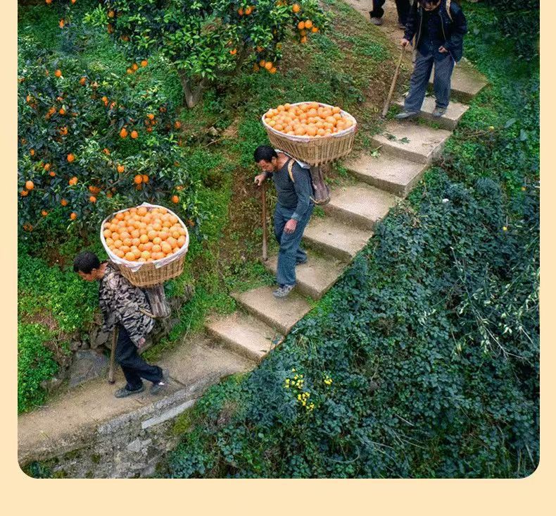 微信图片_20240320165342