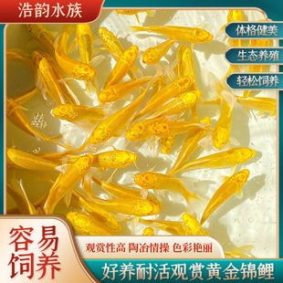 �^�p�~��ˮ�~�t���\���ͻ���B����~�ݽ��~���~��ˮ����ƿ