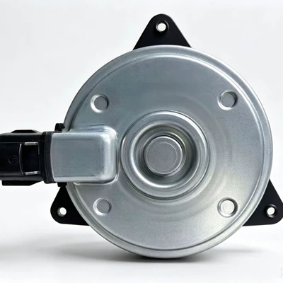 Fan fan motor
