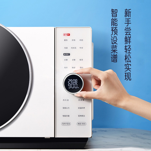 Galanz Microwave Oven 25L Household Flat Stainless Steel Liner Multifunctional Light Wave Oven DR (W0) Wholesale 1688