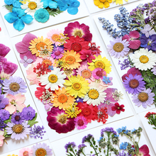 �ɻ����������ֹ�diy���ϰ��滨ֲ��˱����z�N��õ����~�ӻ���