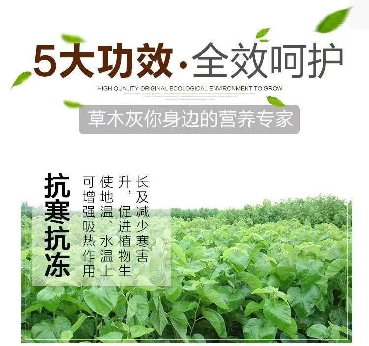 0d19d1b2-f654-4b20-980c-8d0fce54fe7a.jpe