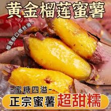 ������ɏ�����S�����r�t��ɳ�����ĵع��S�ķ��������������r�F��