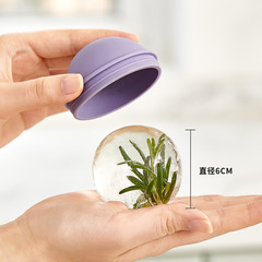 Light Bulb Ice Ball Ice Tray Ice Cube Mold Whiskey Silicone Ice Tray Home Sphere Ice Making Magic Amazon