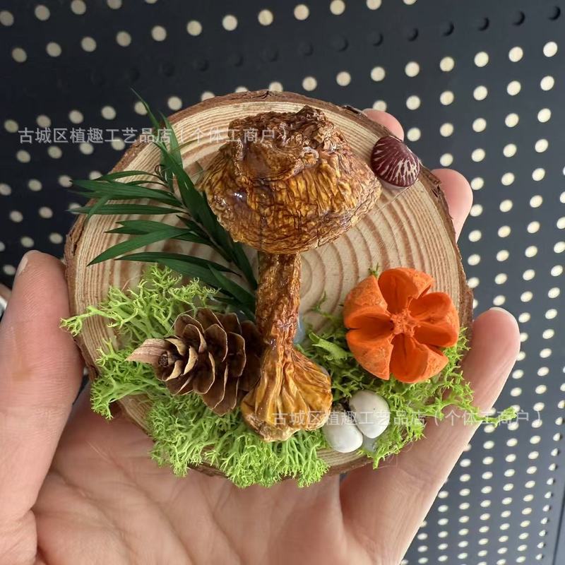 云南真蘑菇冰箱贴菌子真植物果实木头标本装饰手工创意工艺品滴胶|undefined