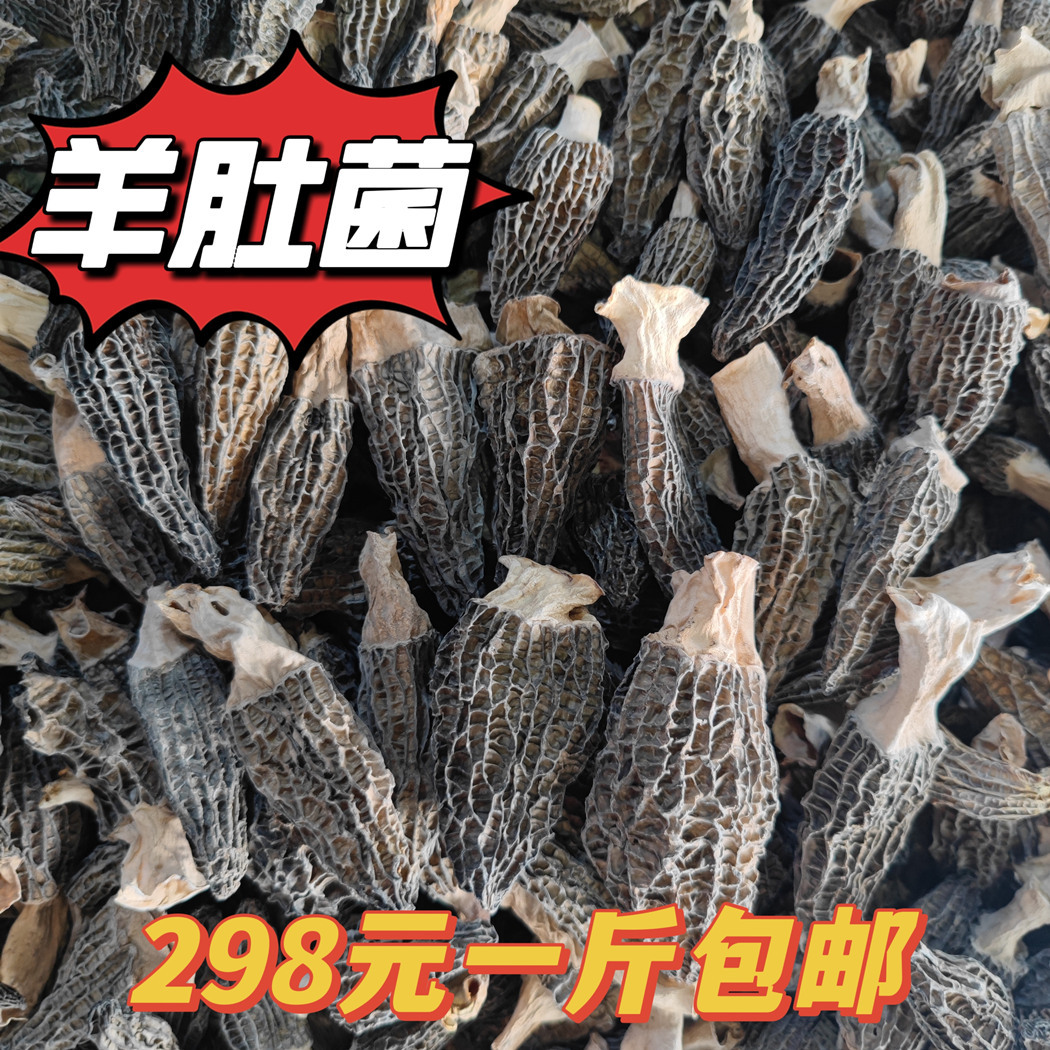 2e48b33d4147c278e78d669db06428