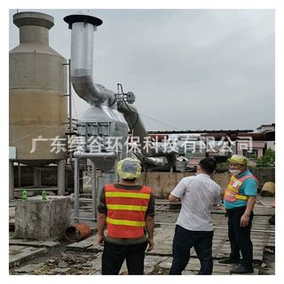 生物粪便沼所发电机脱硝  锅炉SCR低氮氧改造 发电机组群SCR