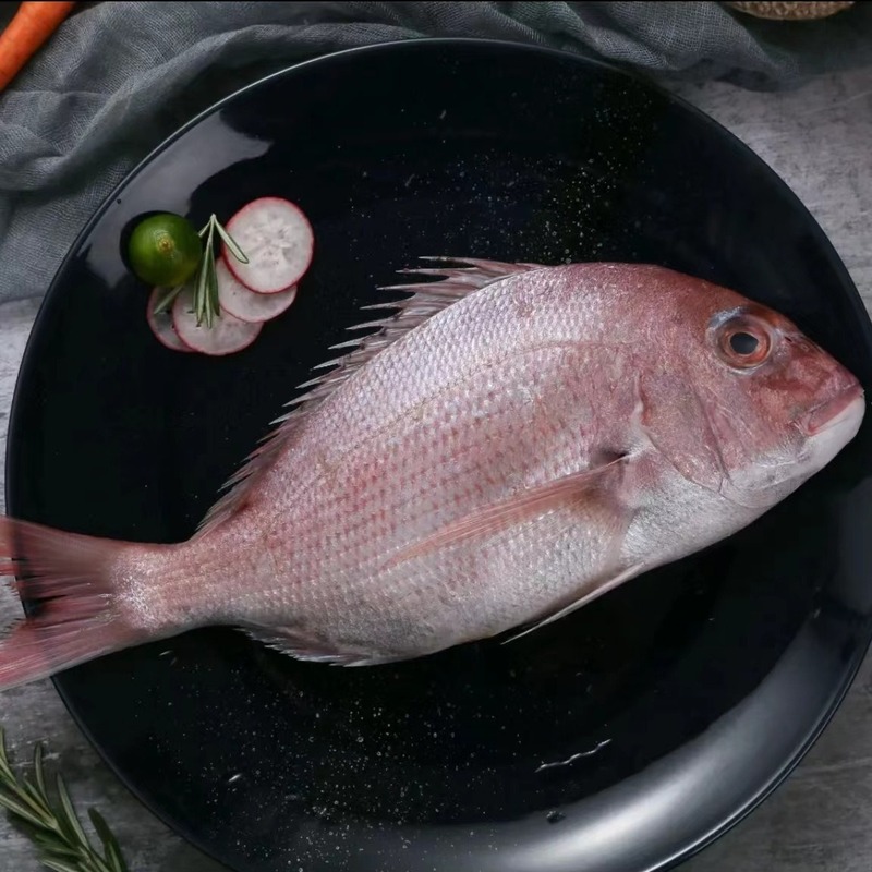 Ⅰ 【深海魚】大石斑魚生鮮冷凍氷鮮石斑海真珠斑龍胆食海魚新鮮魚|undefined