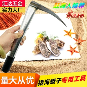 Морские артефакты Dig Oysters Oysters Oysters and Oysters, устрицы, устрицы, устрицы, моллюски, крючки, молотки, пики, приморские скалы