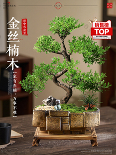 ��z�ľ�辰�Ϙ����������ļ������҃�ֲ�����С�~��骺��B�Gֲ