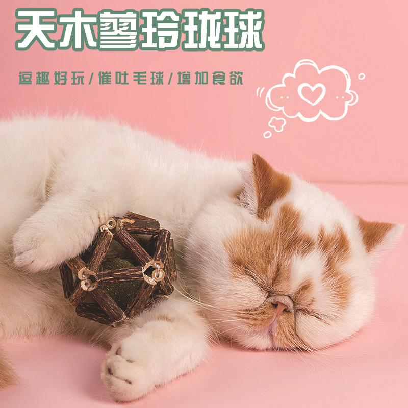 桓仁满族自治县奶豆宠物用品店