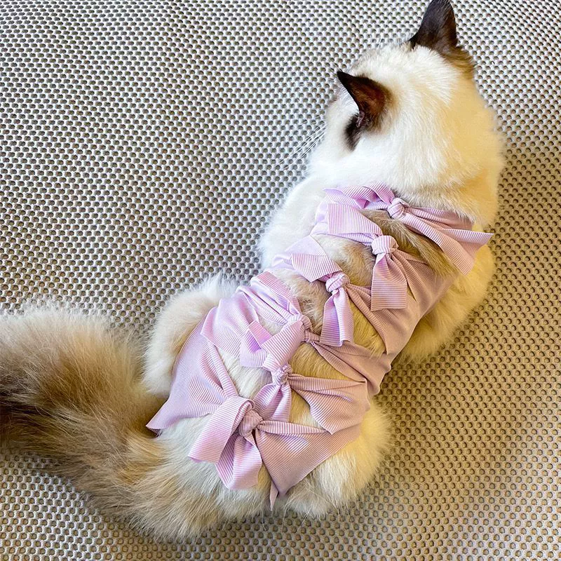 Стерилизация кошек принимает дышащие лекарства после операции против лизания против царапин, одежды для кошек и собак, отлучения от груди, против тонких волос