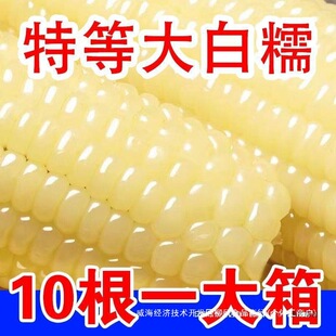 威海经济技术开发区柳风食品商行