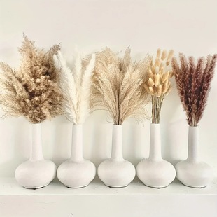 Amazon's Best-Selling Small Reed Dried Flower Bouquet Wedding Scandinavian Style Ornaments Small Home Furnishings Bouquet Window Props