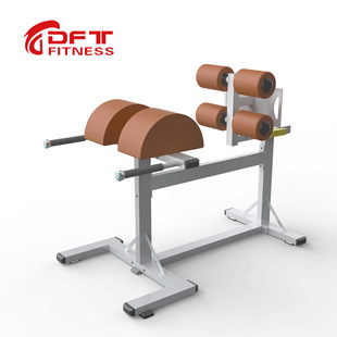 Roman Chair Goat Ting Comprehensive Trainer Indoor Gym Studio Special Gluteus Muscle and Leg Rear Muscle Trainer