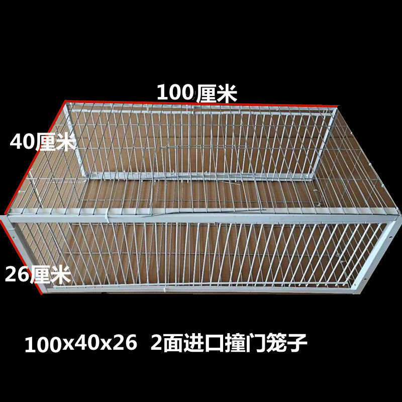 鸽子撞门笼 自动撞门笼活络门帘子门信鸽进笼口进门自动门鸽子笼|undefined