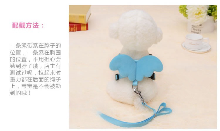 9649633686_1618370989