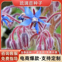 �����ķN���ļ��׷N���N����ֲ���ͥ�@ˇ�̨ͥԺ���Ի�������