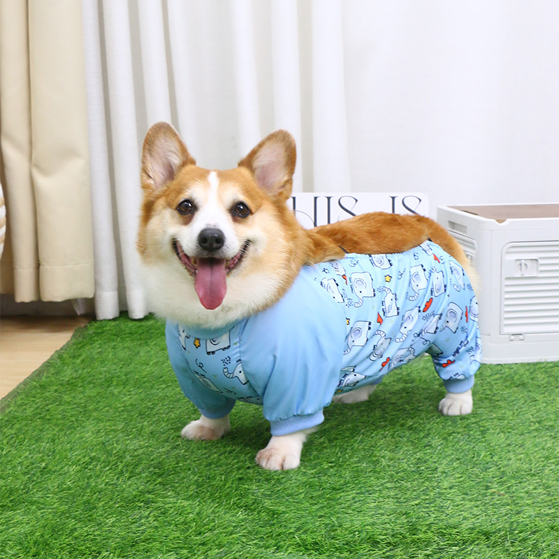 宠物狗狗肚兜衣服四脚全包防着凉防水狗雨衣柯基防脏护肚衣防尘裤|undefined