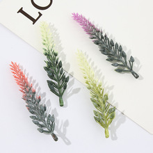 ɫ֦F؛lӼСb΢^辰ˮ