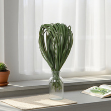 ����G���l��ˮ������ܛ�z䓲��Ѳݷ���ֲ�����ܛ�F�������b�