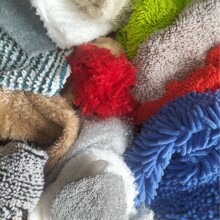 ë���������q�����q��x���pɫ���޽q��ë�w���qѩ�᠖�ϰ�Ĩ����