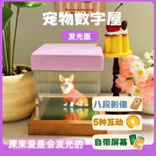 �羳��������ȫϢͶӰ��3DͶӰ��AI������������è�乷������