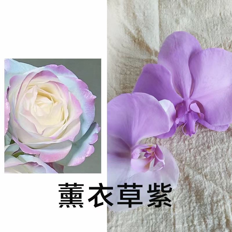 Internet celebridad ciruela negro rosa púrpura flores autopintadas agente de pulverización de color tinte floral spray colorante