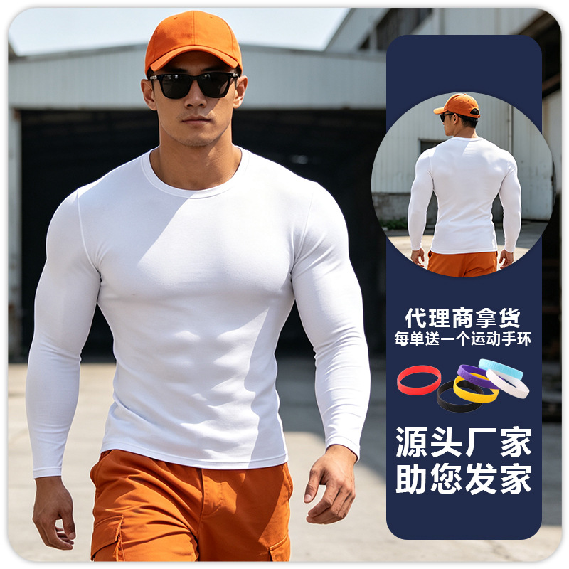 화이트