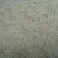 广州增城特产5斤10斤装新米细长大米煲仔饭丝苗香米