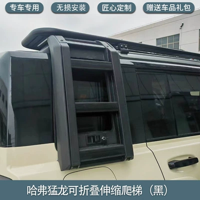 ladder schoolbag decoration luggage frame – Roof rack - haver-raptors-ladder-black-magnet-hidden-lossless-installation
