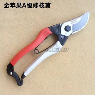 ���O��A��168��֦����������@���ּ������ɣ����֦��ľ�@ˇ����