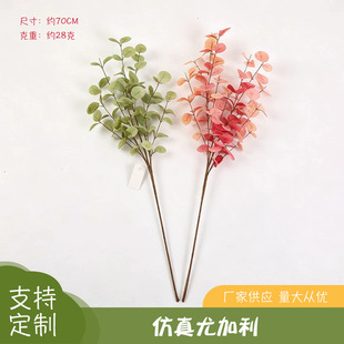 �羳�����ɫ�ȼ�����֦�Ҿ��b¼ٻ��Gֲ�̈��[���JȔ�L�ٻ�c