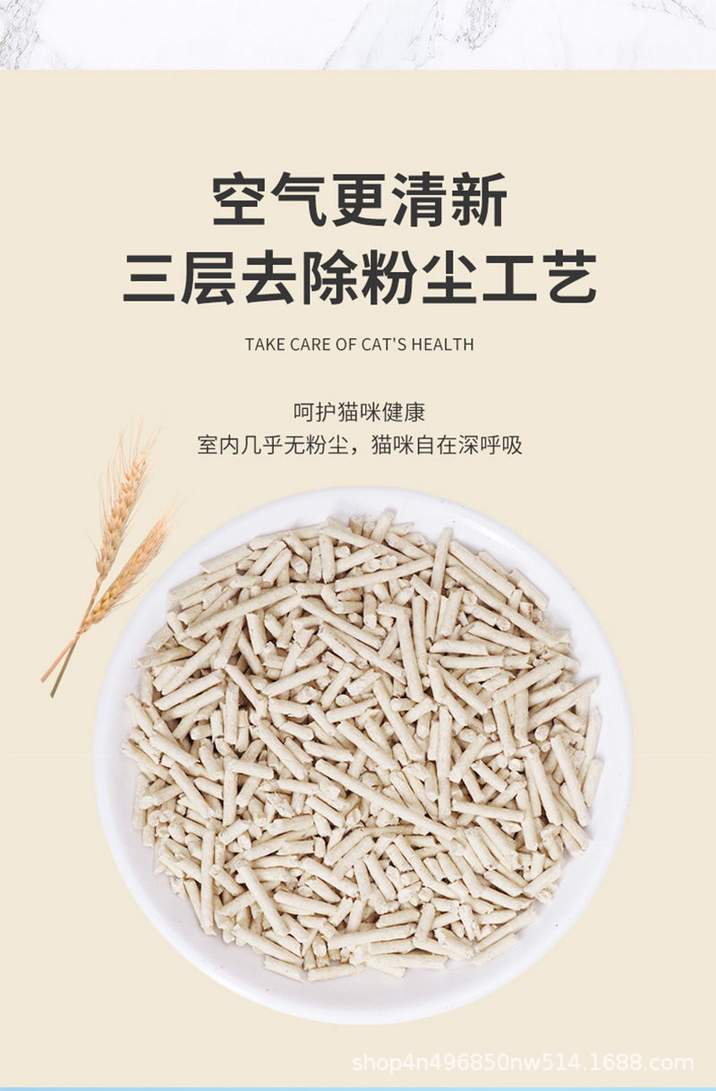 未标题-12_07.jpg?x-oss-process=image/format,png