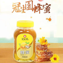 �����@����500g��Ұ������I�B���a�_�{���������Ʒ�ٻ��ۼ�ͥ�b