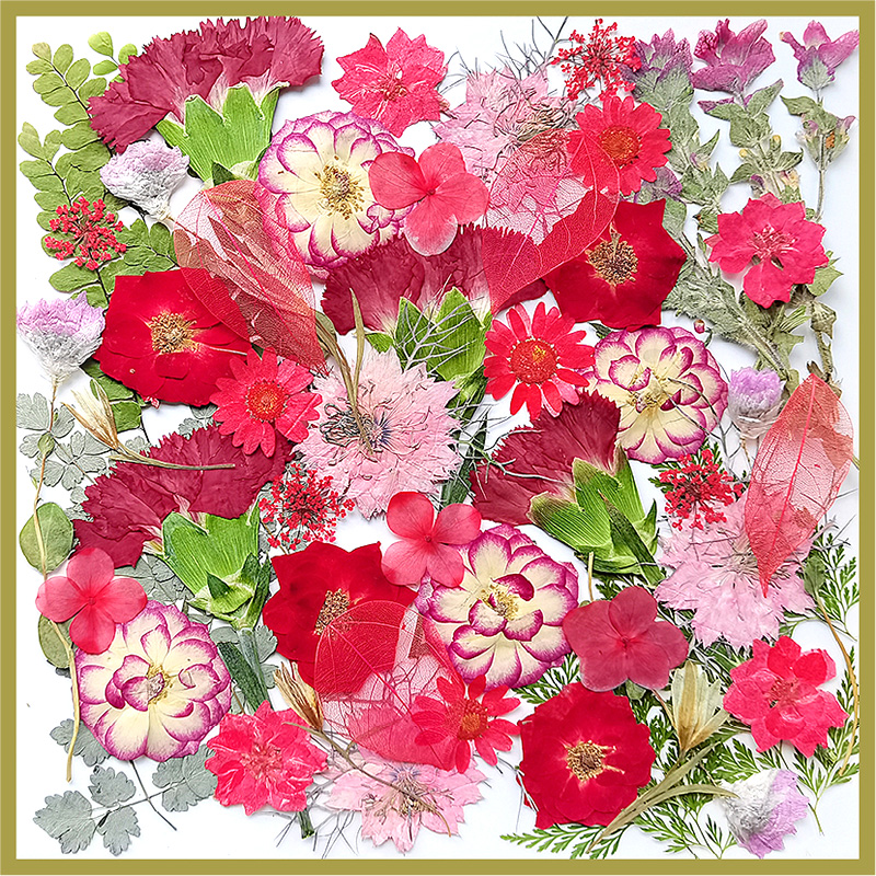 홍장주옌(15종) 소책자 미포함