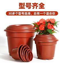 ��tɫ�A��߅̎���NֲAB�����绨���¼������ϻ�����