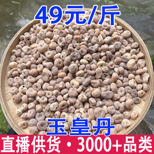 ���� ��ʵ� ���S�� �R��� ���l����ă�