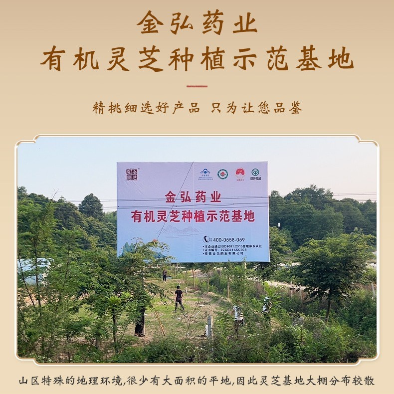 支持代发灵芝孢子油30粒盒装高含量提取软件囊批发增强免疫保健|undefined