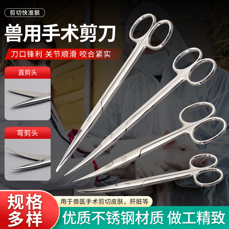 Cirugía de tijeras de acero inoxidable 14CM codo 16CM gaza de ojos de punta recta doble párpado de belleza cejas y nariz tijeras