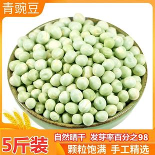 ����㶹���㶹���㶹��؛�s�Z�ּZ������ѿ��1��-5��o�x�¶�
