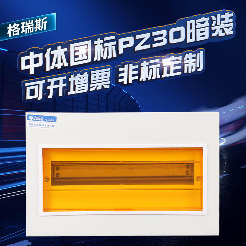 现货家用中体经济型回路箱 PZ30暗装配电箱室内控制照明箱可定 制