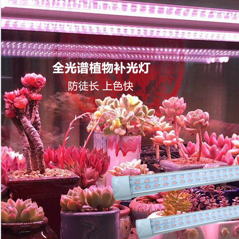 Fleshy Light Home Coloring Full Spectrum LED Plant Growth Light Indoor Flowers and Vegetables Imitation Sunlight