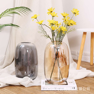 Simple big belly glass vase modern living room floor flower vase desktop decoration vase wholesale