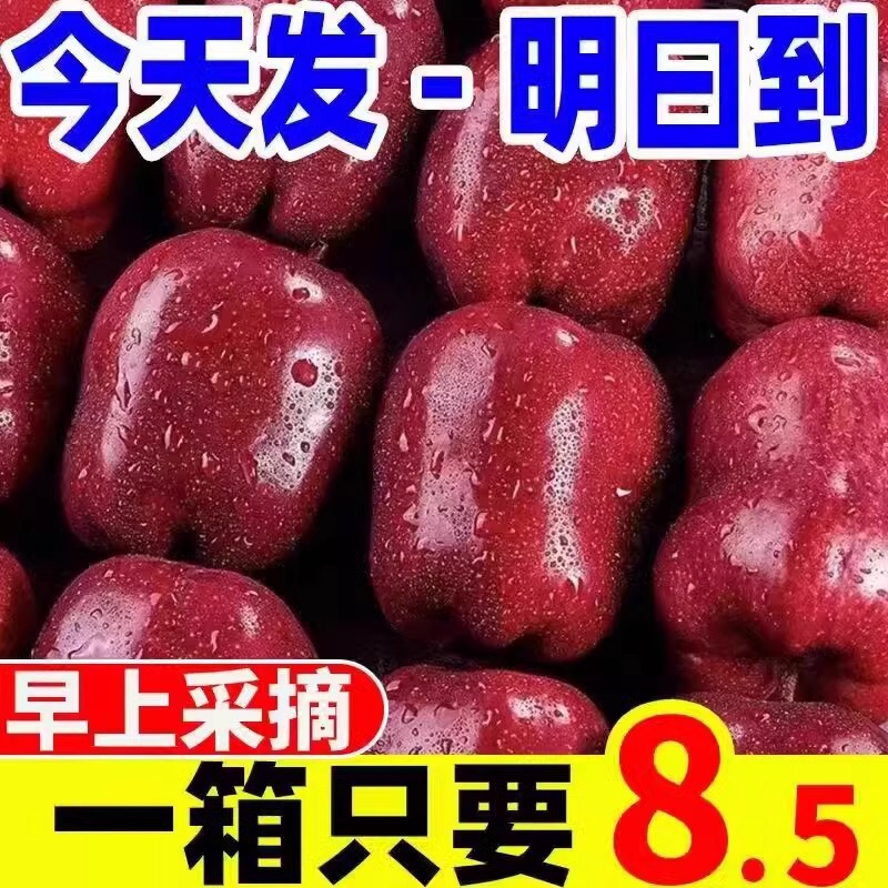 Authentic Gansu Tianshui Huaniu Apple Snake Red Fruit for Children and Elderly, Crispy and Sweet Fresh Apple Fruit 5kg