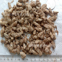 雄蚕蛾,别名,蚕蛾,晚蚕蛾,魏蚕蛾,天蛾,中药材雄蚕蛾
