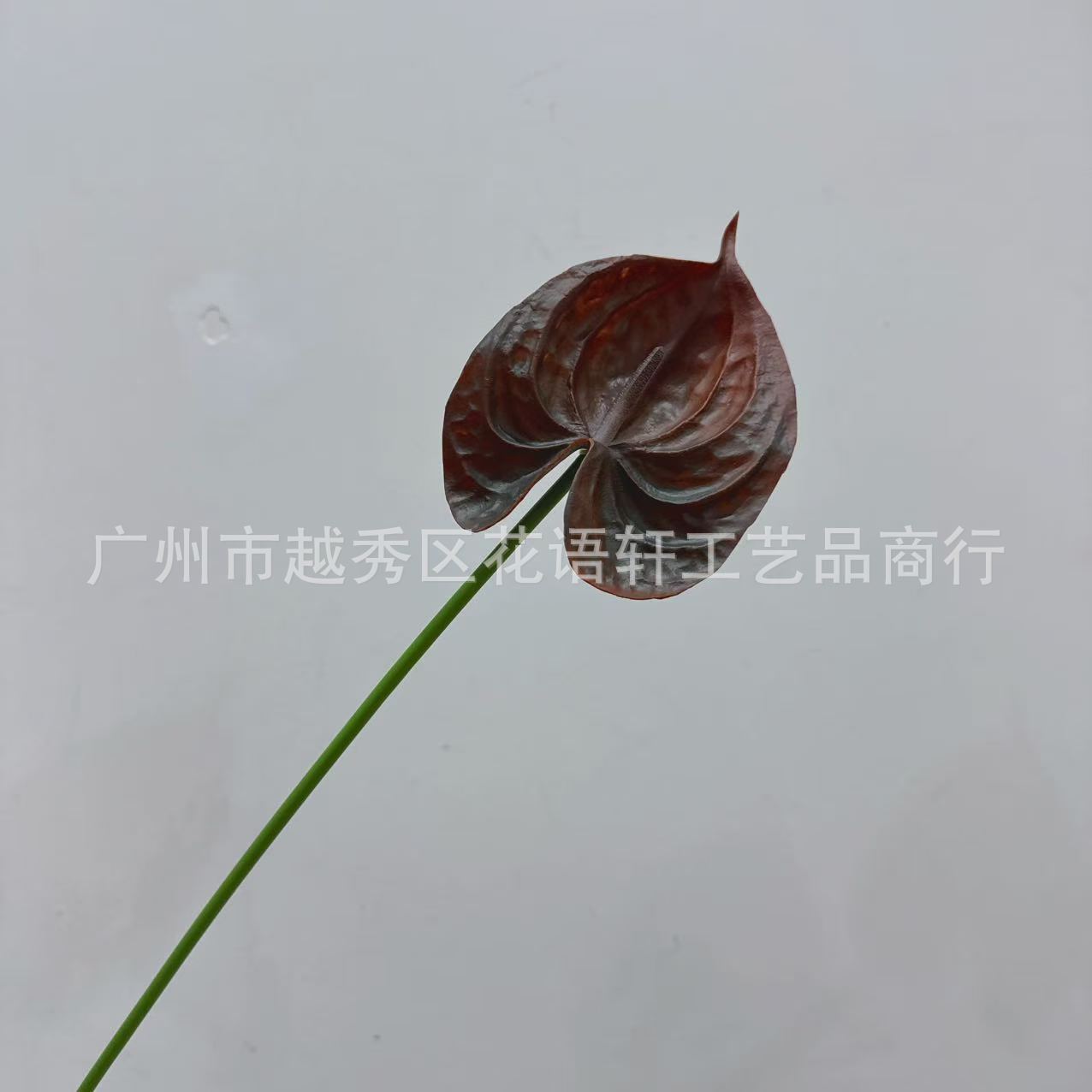 브라운 길이 45cm