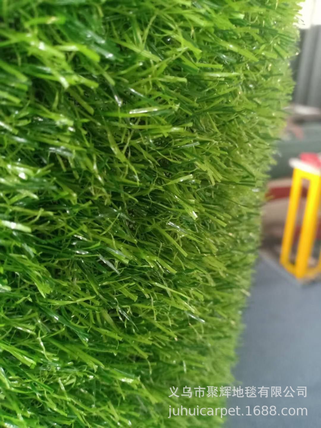 IMG_5230(20211117-102731)