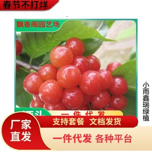 ������� �R������� ����Ҙ��� �޽ә����� ܇���Ә����ϱ����N